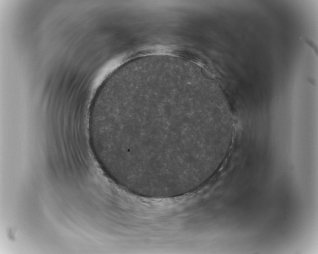 X0000102530006200808291830