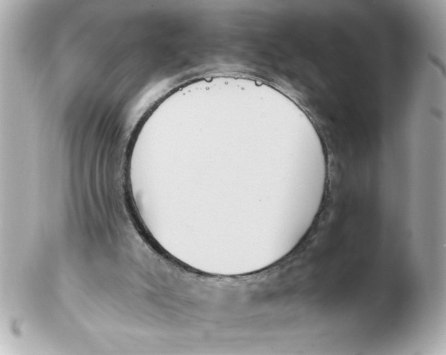 X0000102530007200808291830