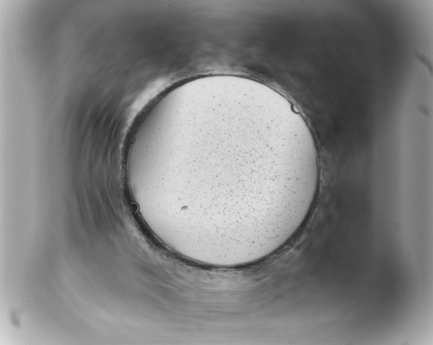 X0000102530008200808291830
