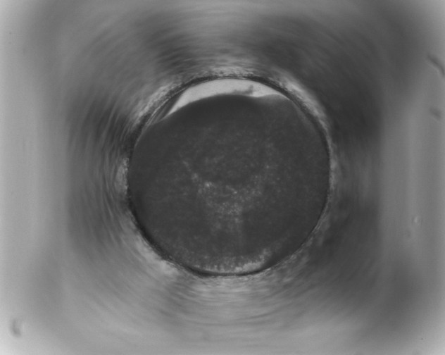 X0000102530009200808291830