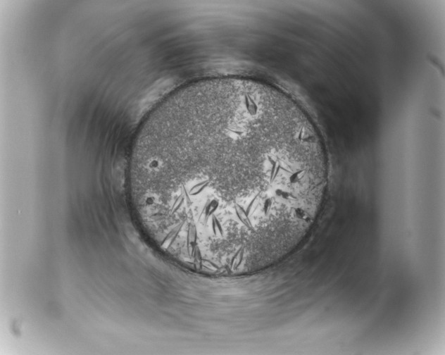 X0000102530010200808291830