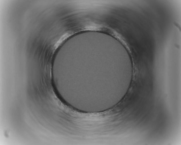 X0000102530011200808291830