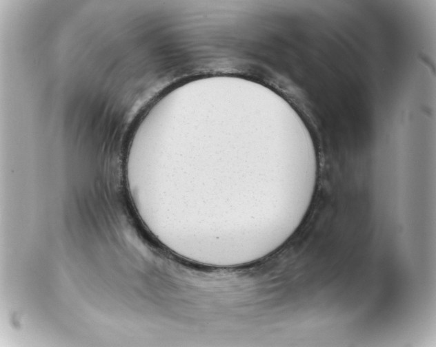 X0000102530012200808291830