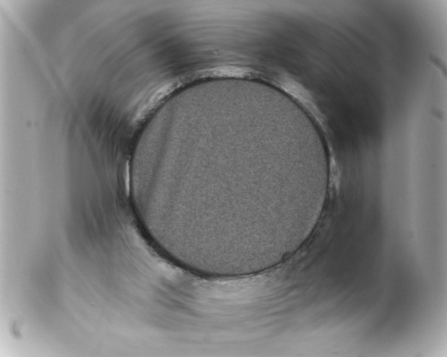 X0000102530013200808291830