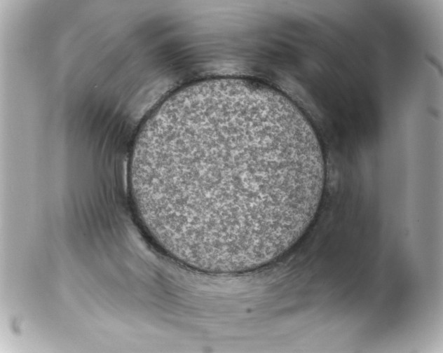 X0000102530014200808291830