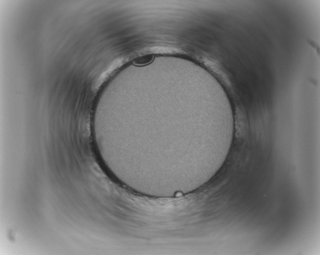 X0000102530015200808291830