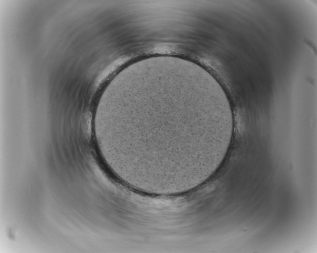 X0000102530016200808291830