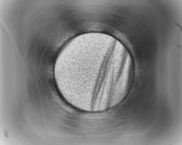 X0000102530017200808291830
