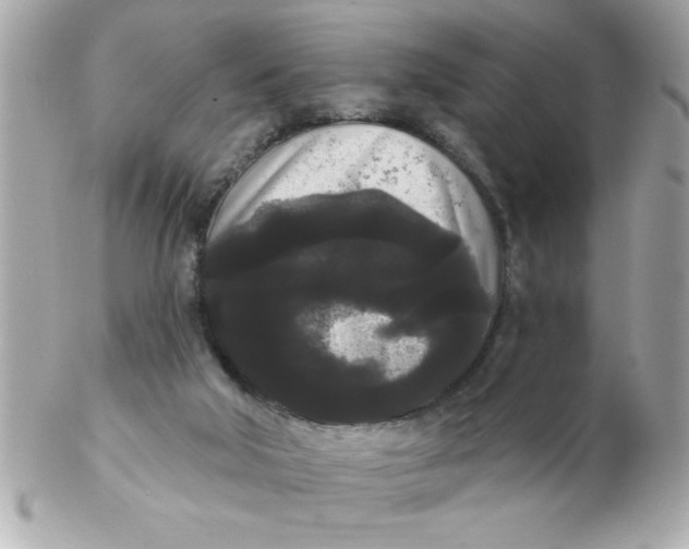 X0000102530018200808291830