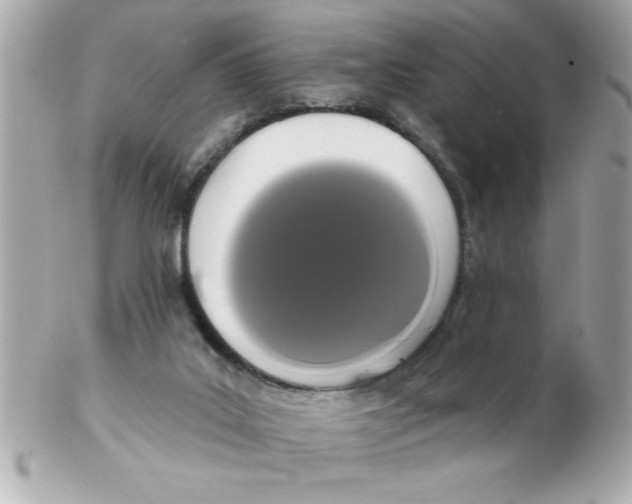 X0000102530019200808291830