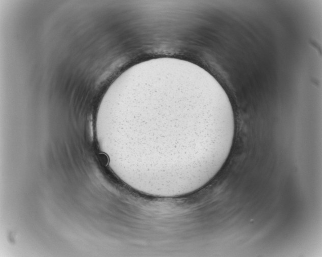 X0000102530020200808291830