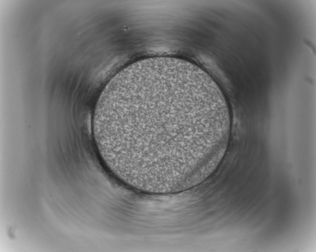 X0000102530021200808291830