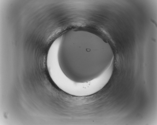 X0000102530023200808291830