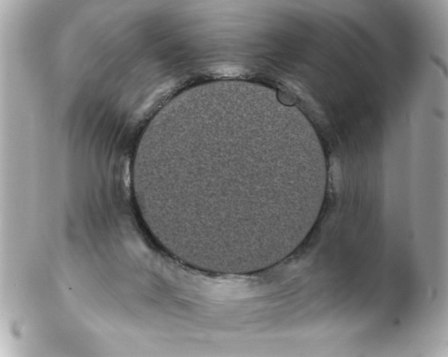 X0000102530024200808291830
