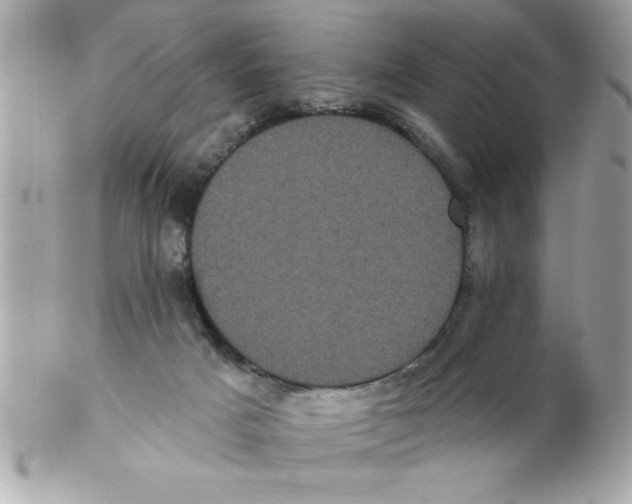 X0000102530025200808291830