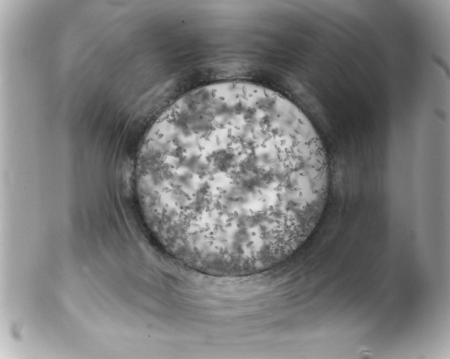 X0000102530026200808291830