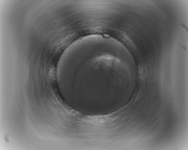 X0000102530029200808291830