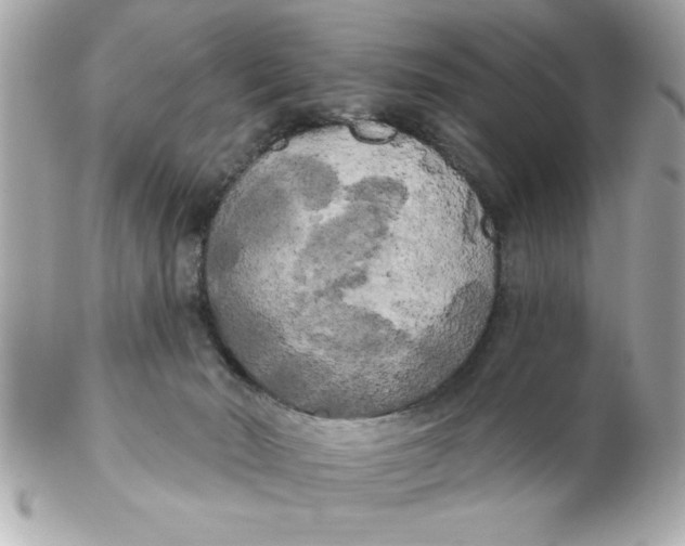 X0000102530030200808291830
