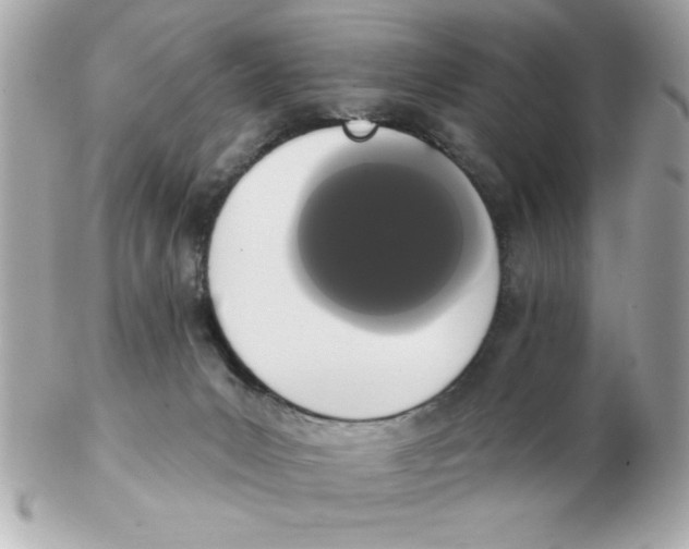 X0000102530031200808291829