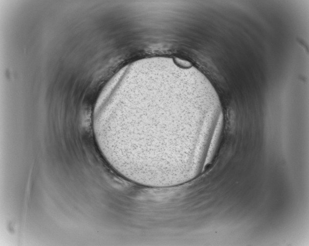X0000102530033200808291829