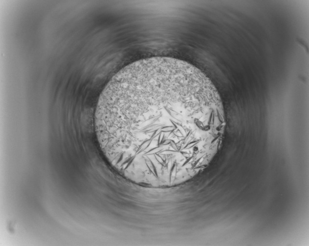 X0000102530034200808291829