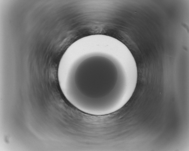 X0000102530035200808291829