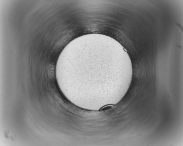 X0000102530036200808291829