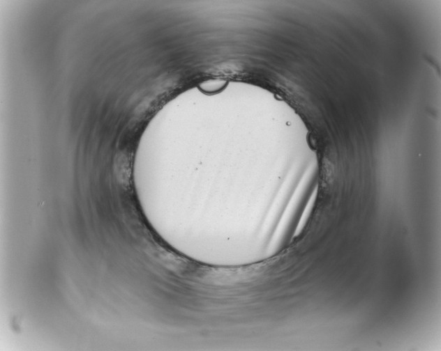 X0000102530037200808291829