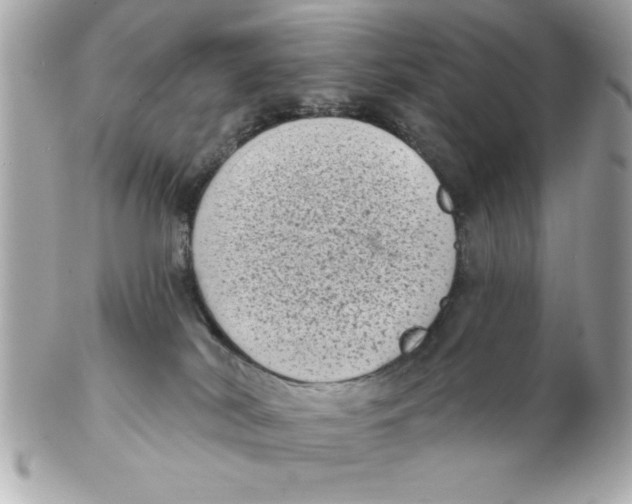 X0000102530038200808291829