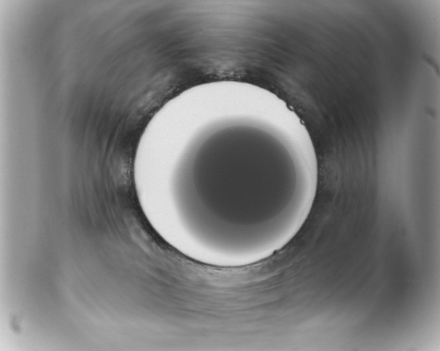 X0000102530039200808291829