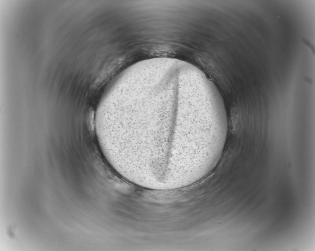 X0000102530041200808291829