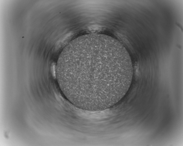 X0000102530042200808291829