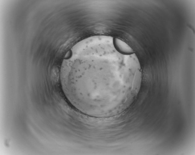 X0000102530043200808291829