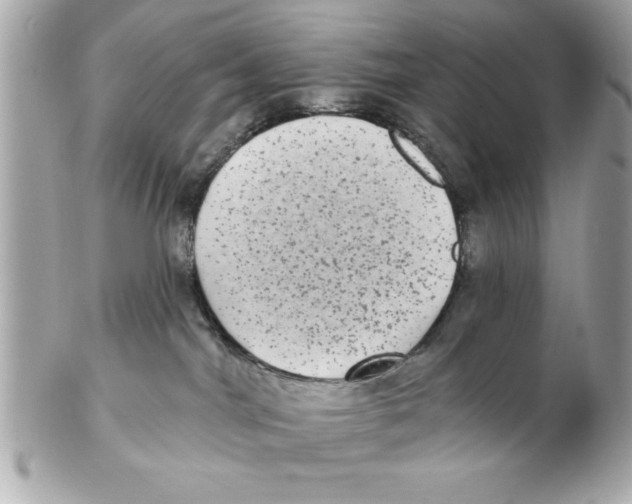 X0000102530044200808291829