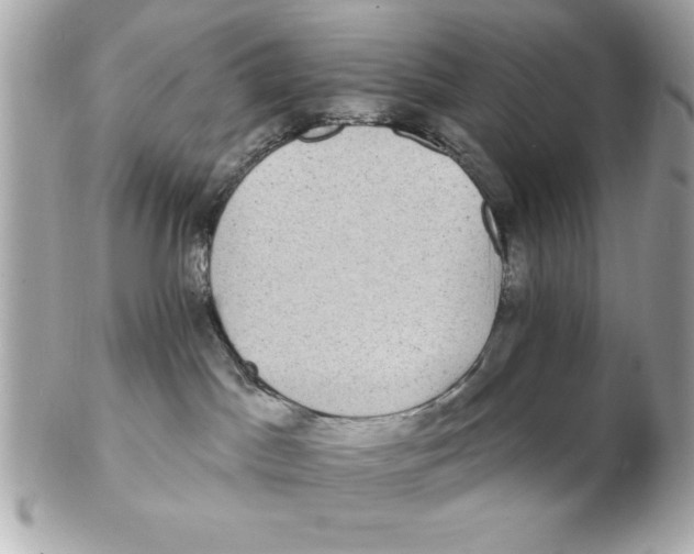 X0000102530045200808291829