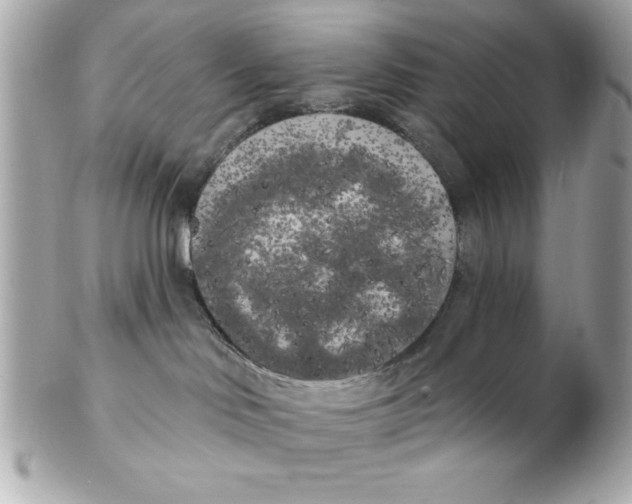 X0000102530046200808291829
