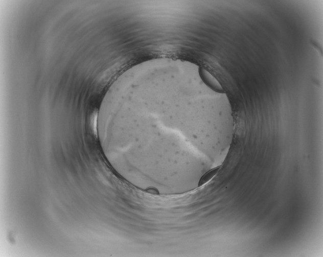 X0000102530047200808291829