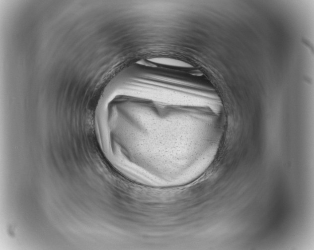 X0000102530048200808291829