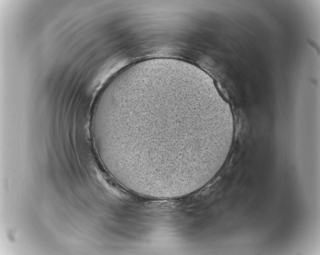 X0000102530050200808291829