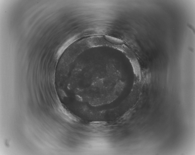 X0000102530051200808291829