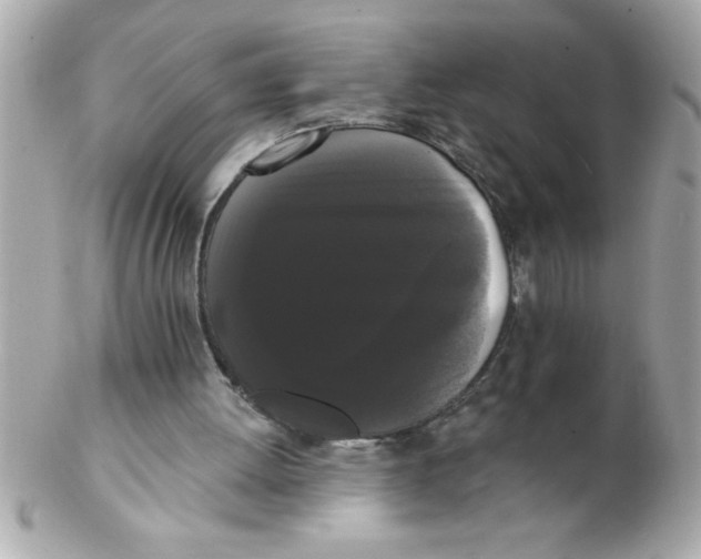 X0000102530052200808291829