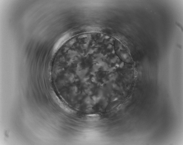 X0000102530053200808291829