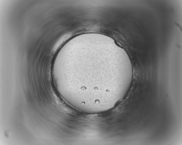 X0000102530054200808291829