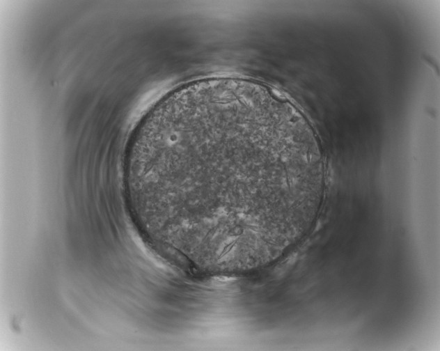 X0000102530055200808291829