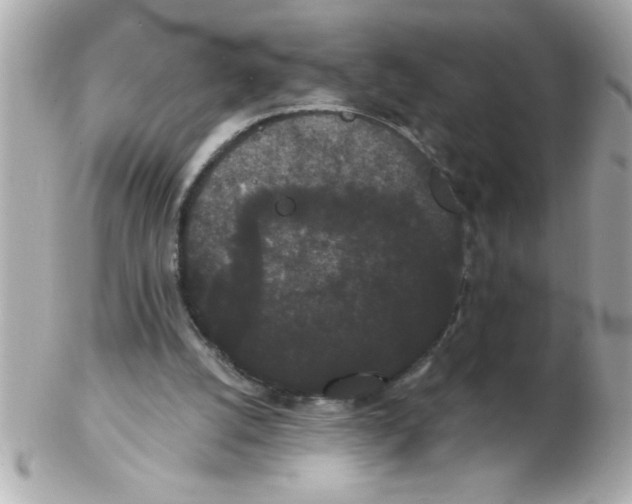 X0000102530056200808291829