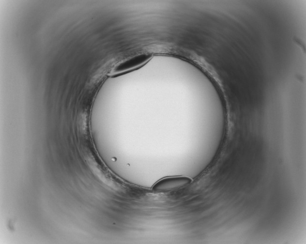 X0000102530057200808291829