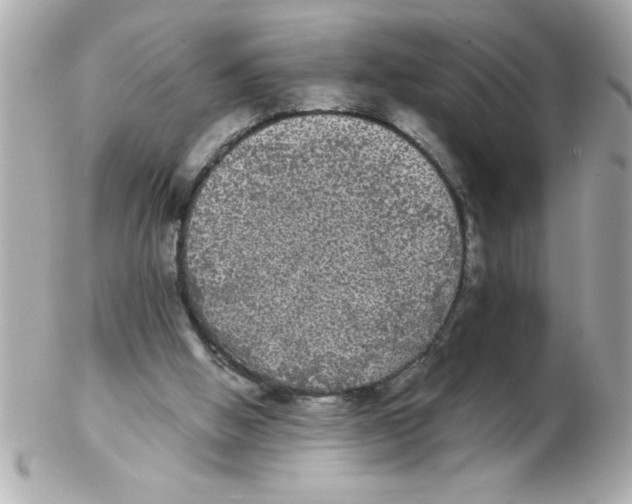 X0000102530058200808291829