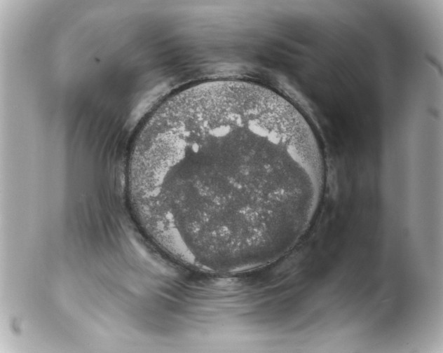 X0000102530059200808291829