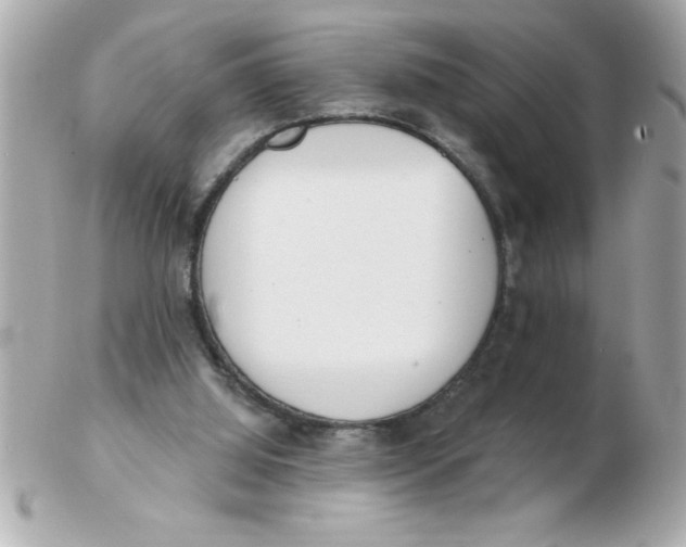 X0000102530060200808291829