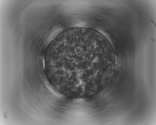 X0000102530061200808291829